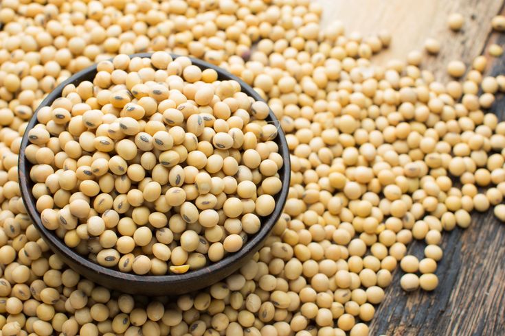 Logistics & Shipping Solutions for Bulk Iranian Soybean Seed Export